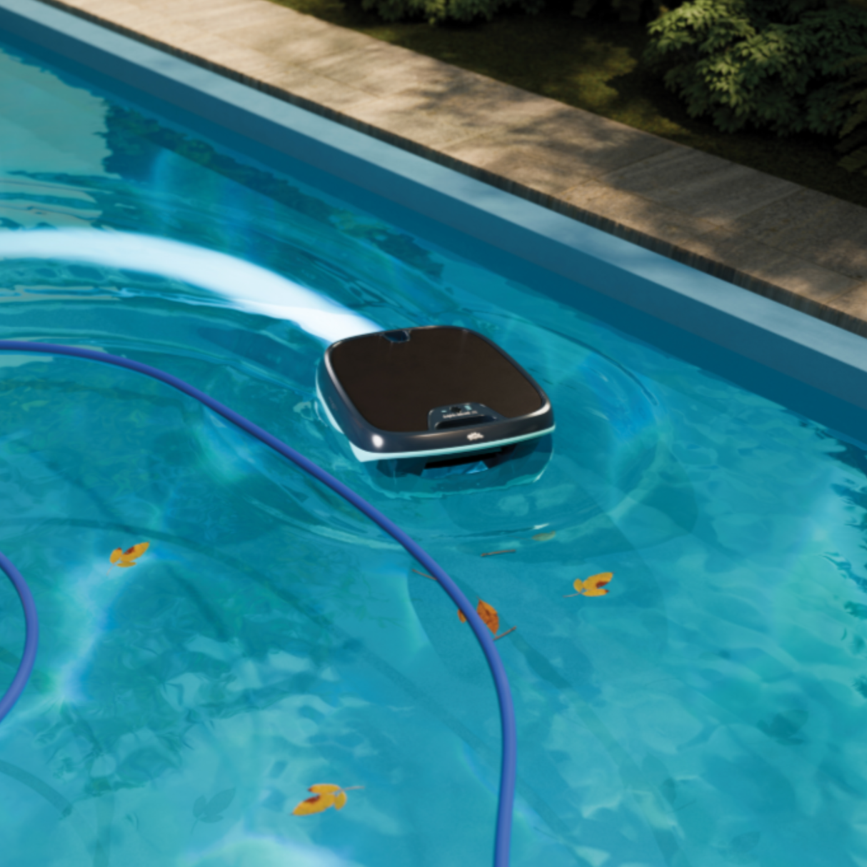 Dolphin Skimmi 200