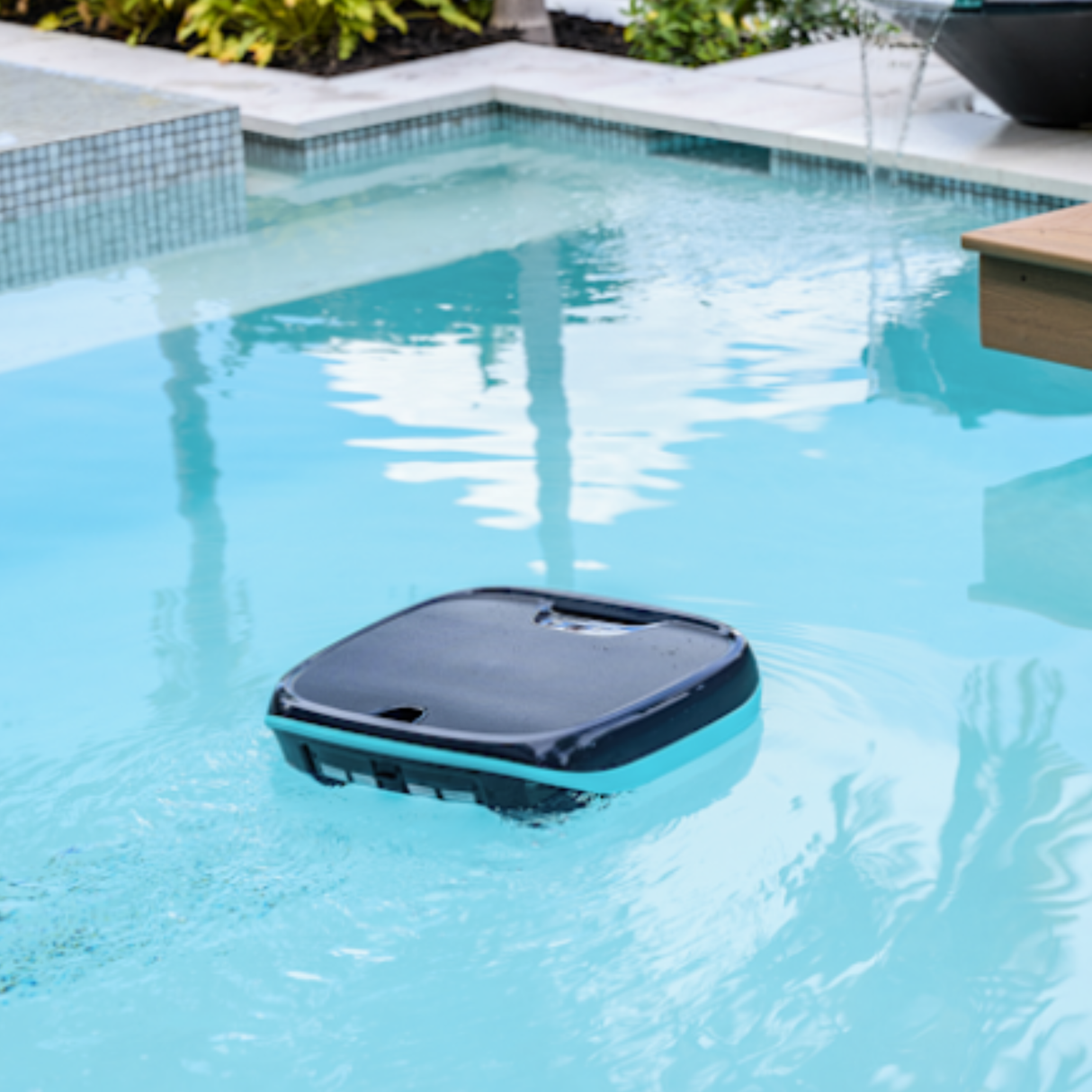 Dolphin Skimmi 200
