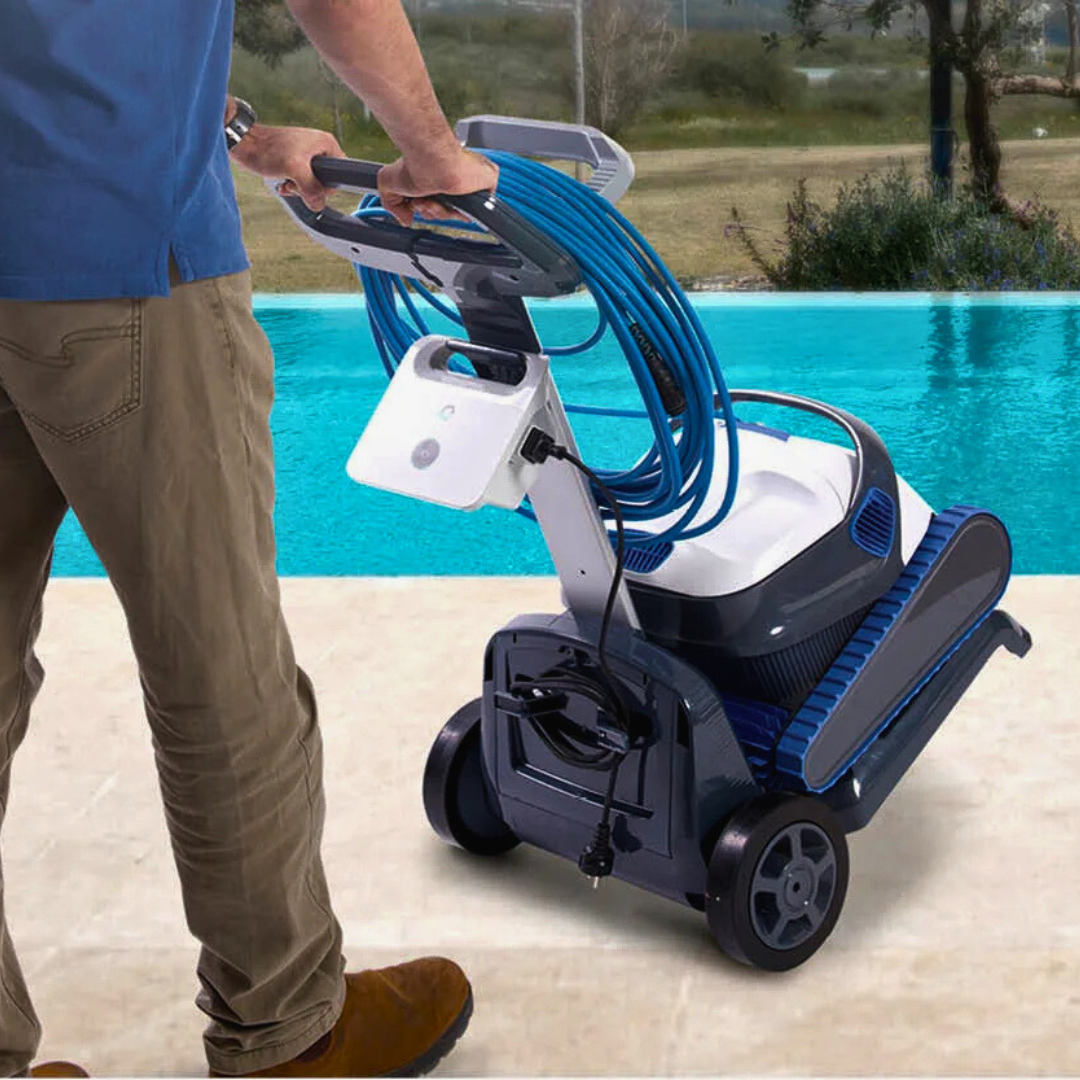 Dolphin Caddy