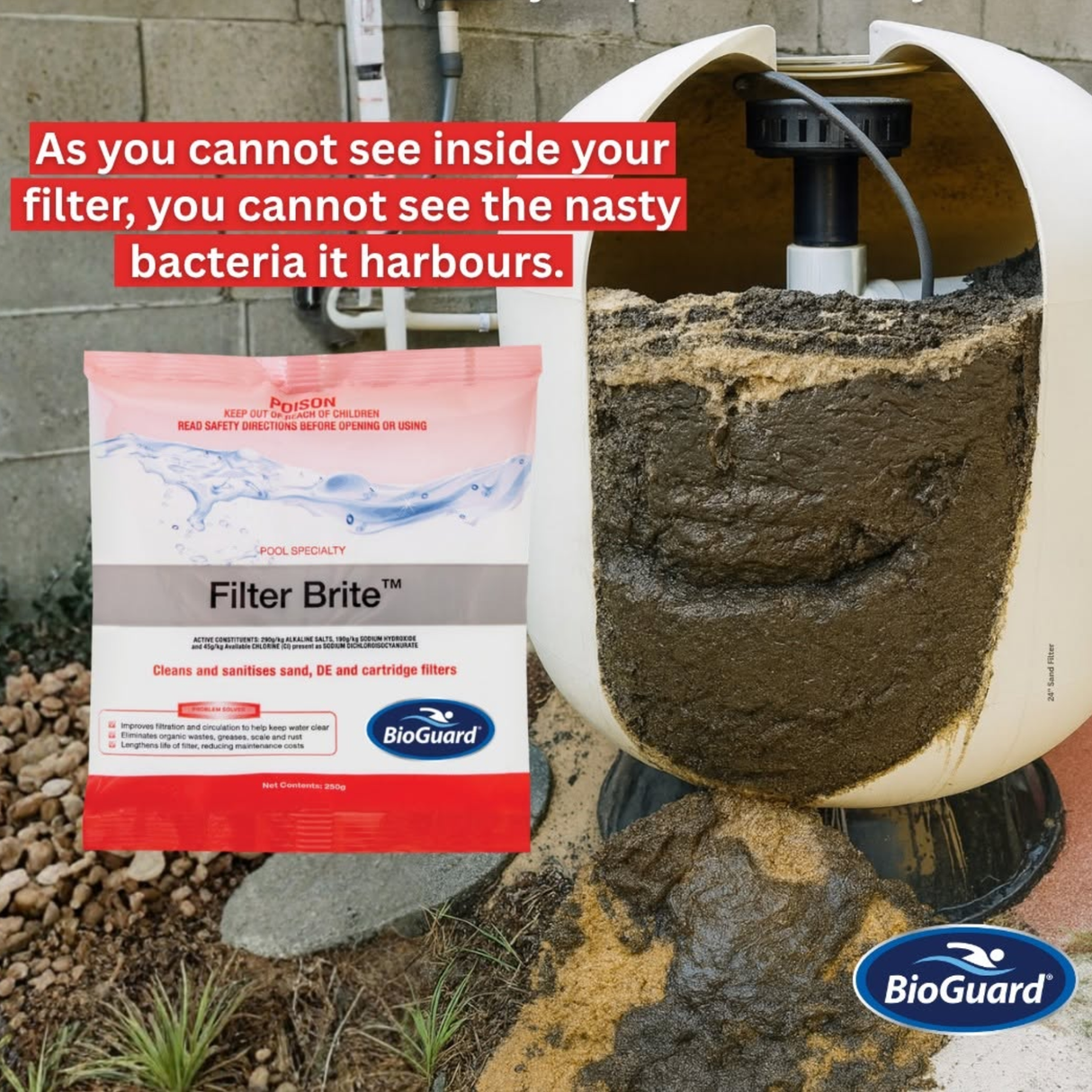 A cutaway view of a dirty swimming pool sand filter showing trapped debris and bacteria next to a BioGuard Filter Brite chemical sachet.