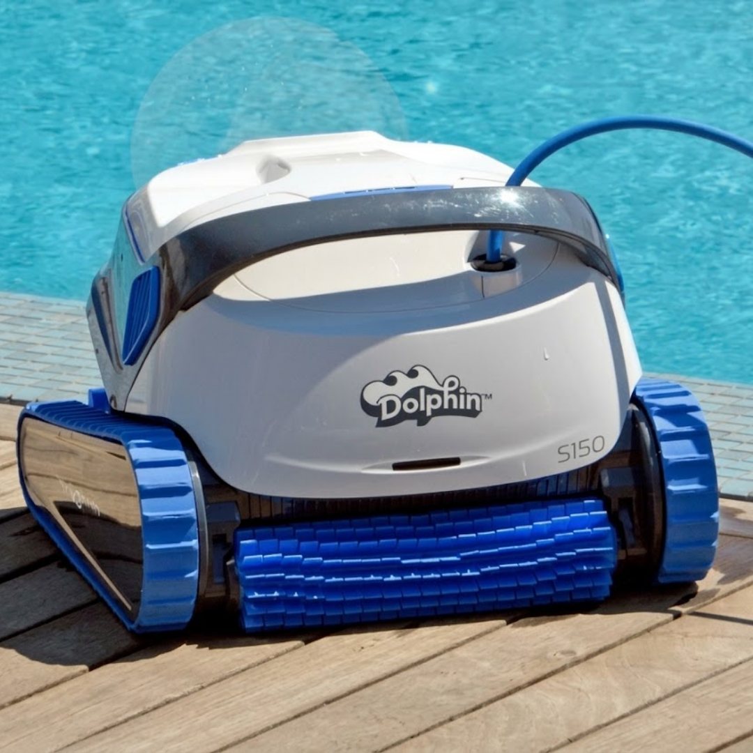 Outdoor lifestyle front view of the white and dark grey Maytronics Dolphin S 150 robotic pool cleaner resting on a wooden pool deck, highlighting its blue front active scrubbing brush and blue continuous tracks with the pool water in the background.