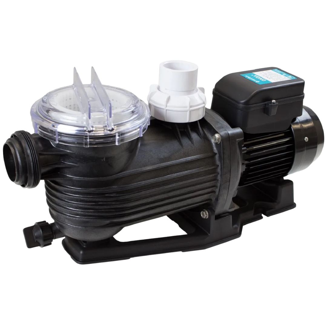 Three-quarter studio view of a Pentair Onga Pantera PPP550 0.75 HP pool pump, displaying the clear lock-ring strainer lid, white discharge union, black housing, motor casing, and mounting base isolated on white.
