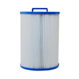 Front view of a 50 sq ft replacement filter element for widemouth screw-in skimmer systems featuring a blue top handle cap and pleated fabric