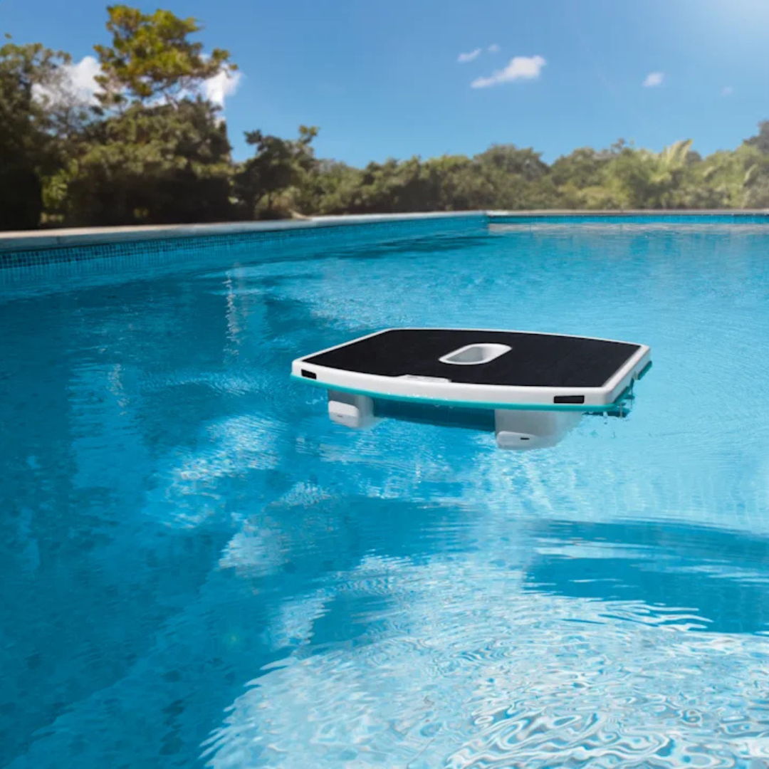 Dolphin Skimmi