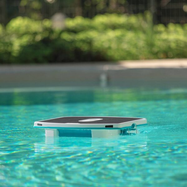 Dolphin Skimmi