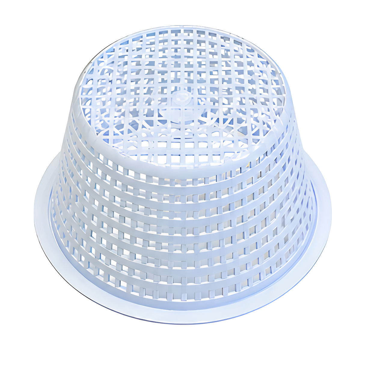 Hayward Skimmer Basket SP1094FA