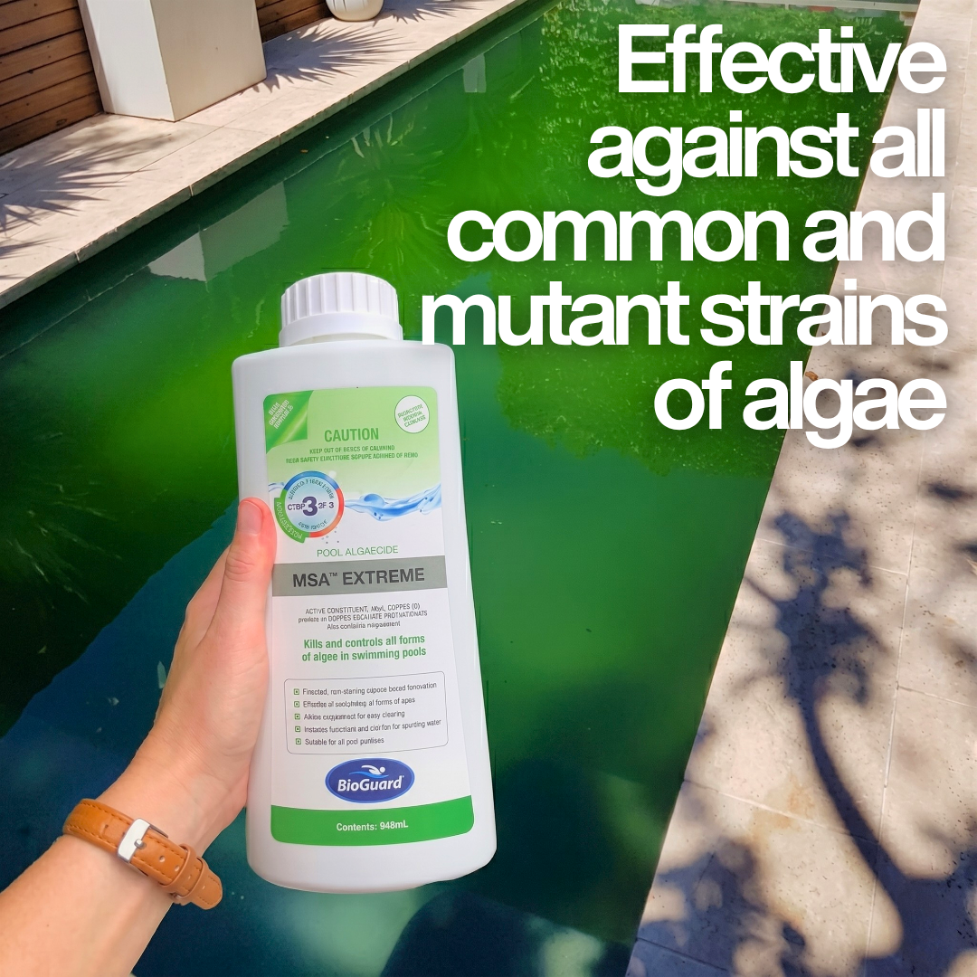 A hand holding a bottle of BioGuard MSA Extreme Pool Algaecide over a green, algae-filled swimming pool. Text overlay reads "Effective against all common and mutant strains of algae