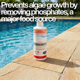 BioGuard Phos Kill 1L bottle sitting on stone pool coping with top text overlay: Prevents algae growth by removing phosphates, a major food source.