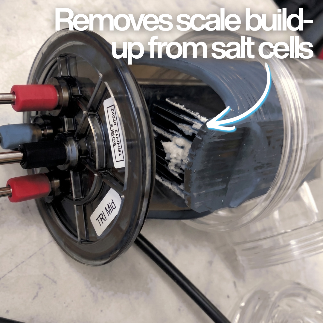 A close-up view of heavy white calcium scale build-up on the plates of a salt chlorinator cell. Text overlay reads "Removes scale build-up from salt cells," highlighting the need for BioGuard Salt Cell Cleaner.