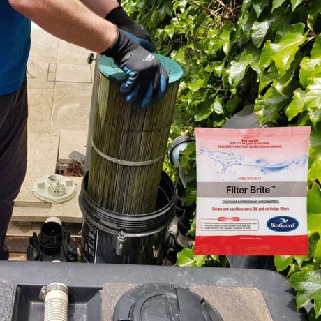 Pool professional wearing safety gloves removing a dirty swimming pool cartridge filter next to a sachet of BioGuard Filter Brite chemical cleaner.