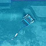 Overhead underwater view of the dark grey and blue Maytronics Dolphin M 700 robotic pool cleaner navigating across the bottom of a blue pool floor, showing its blue cable and swivel connection.