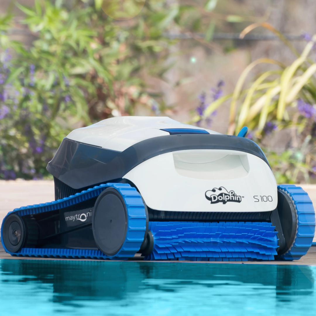Outdoor lifestyle front view of the white, grey, and blue Maytronics Dolphin S 100 robotic pool cleaner resting on poolside coping, featuring its blue active front scrubbing brush and blue continuous tracks.