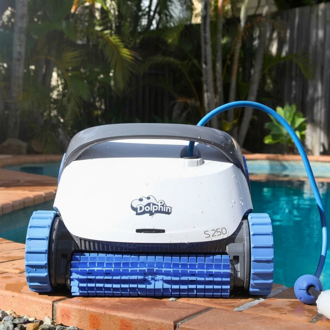 Outdoor lifestyle front view of the white and dark grey Maytronics Dolphin S 250 robotic pool cleaner resting on brick pool coping, showing its blue front active brush, blue continuous tracks, and floating cable.