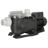 Front three-quarter studio view of a Pentair Onga Pantera PPP750 1.0 HP pool pump, displaying the front white suction union, clear strainer lid, top discharge port, and black motor assembly isolated on white.