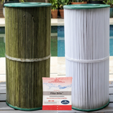 Before and after comparison of a dirty green pool cartridge filter next to a clean white filter washed with BioGuard Filter Brite chemical cleaner.