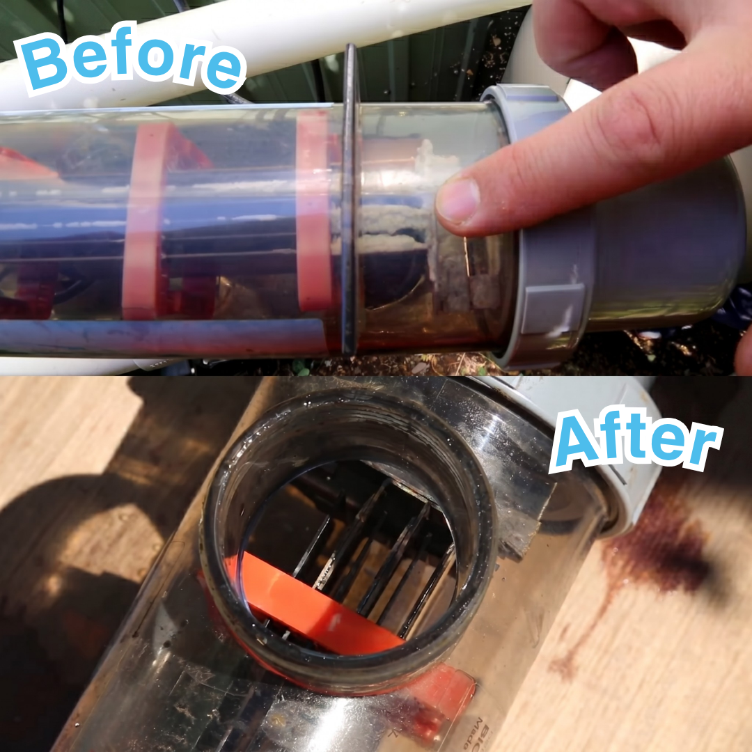 Before and after comparison of a salt chlorinator cell cleaning. The "before" image shows thick white calcium deposits on the plates, while the "after" image shows a clean, scale-free cell following treatment with BioGuard Salt Cell Cleaner.