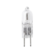 Front view of a Trimlight 12V 100W replacement halogen globe featuring a clear glass capsule, internal coiled filament, two bi-pin connector pins, and printed 12V 100W power specifications.
