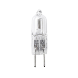 Front view of a Trimlight 12V 100W replacement halogen globe featuring a clear glass capsule, internal coiled filament, two bi-pin connector pins, and printed 12V 100W power specifications.