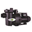 Zodiac FloPro high-performance swimming pool pump with heavy-duty black housing, built-in hair and lint strainer pot, and quick-connect unions against a white background.